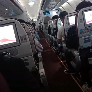 琳啸头像