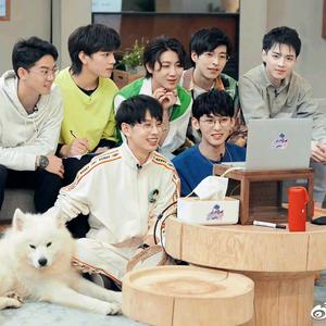 會遊泳的公仔头像