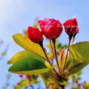 用户2217009545996李丽头像