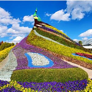 淑女千首情歌头像