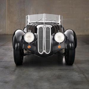 独行的雄狮头像