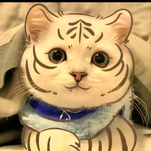 🥀ℒᎭℯ独具蒋心ꦿ҉᭄࿚ནོ¹头像