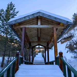 文文文文文头像