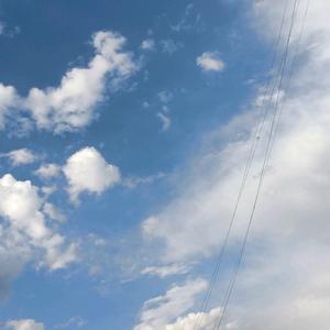 胜芳华为王美娟头像