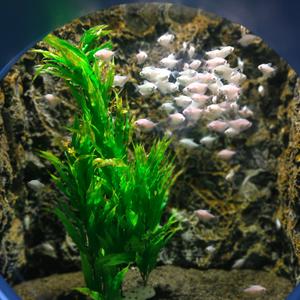 用户4665848819047头像