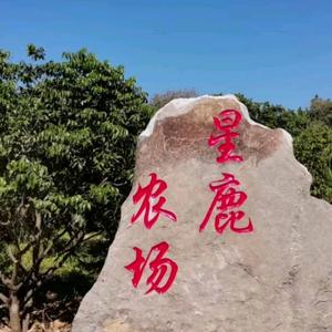 星鹿观光农场头像