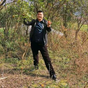 总镖头阿强头像