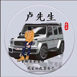 纵横四海风生水起头像