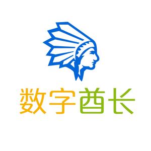 数字酋长ERP+BI头像