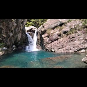 ☀🐰兔格格☀头像