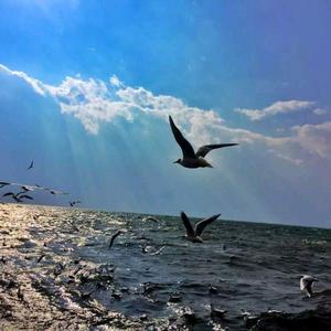 莲姐《拒绝私聊》头像