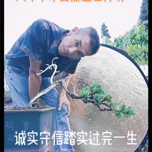 不负韶华，努力拼搏头像