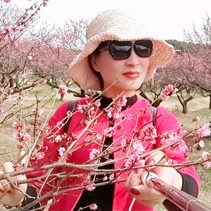 燕子（请别连赞）头像