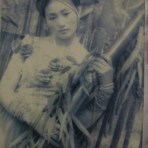 ☞张鱼小丸子头像