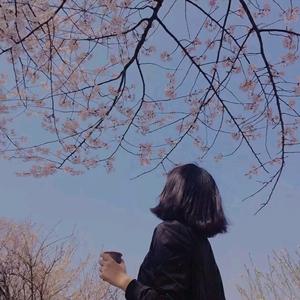 呦呦鹿鸣～头像