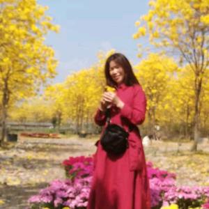 兰花依然美头像