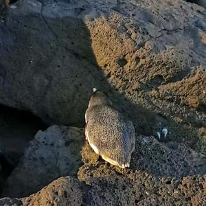 刚刚好经历经典头像