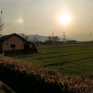 慧英~涅槃重生头像