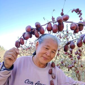 阿莲姐干果头像