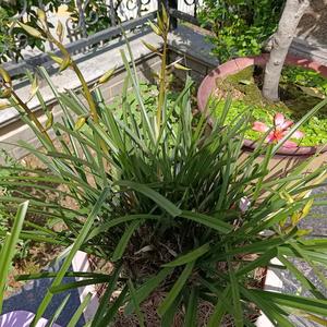 用岁月打磨头像