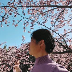 红霞海上来头像