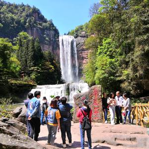 用户9532838414118彬彬有礼头像