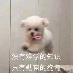 困困狗的抖音 - 抖音
