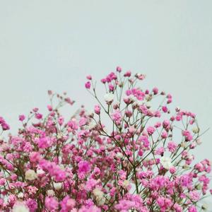 好心情的抖音 - 抖音
