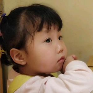 小狮子小柿子头像