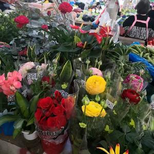 勿忘初心和使命头像