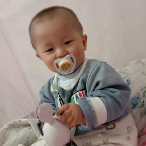 恐龙头像