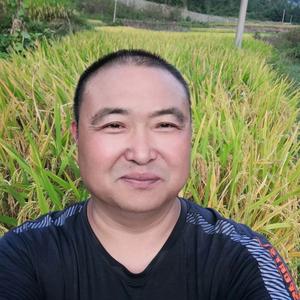 记录身边的故事头像