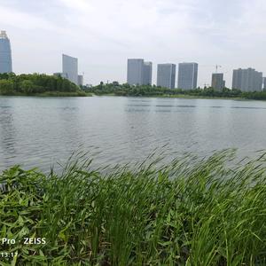 言午  木木头像