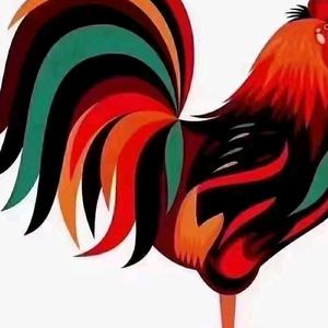 阿🦆子🦆头像