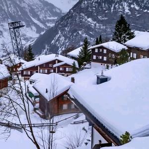 无欲则刚、头像