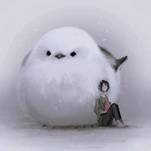 不识月π_π头像