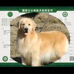 崇州市通宝养殖头像