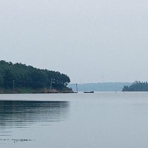 璀璨的星空头像