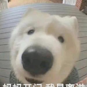 佛系小透明头像