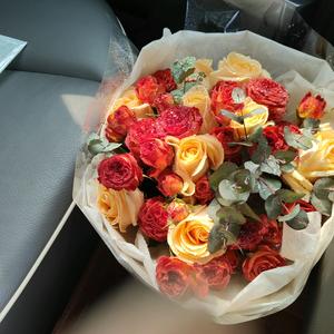 a加菲姣.🍭头像