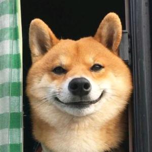 狗头💞灰尘头像