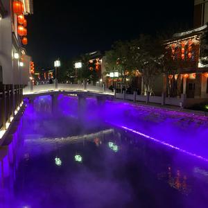 伊伊爱玩头像