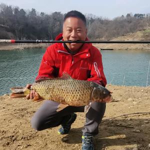 老陈聊钓鱼 头像