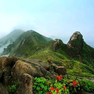 （项山甑度假酒庄）头像