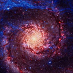 执笔画美人头像