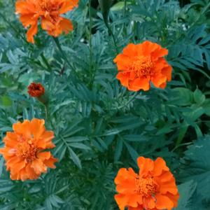 键康就是快乐头像