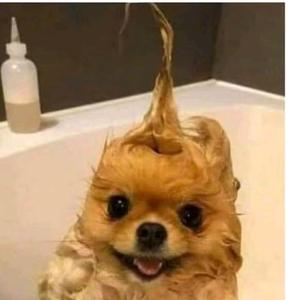 噗噜噜噜吐泡泡头像