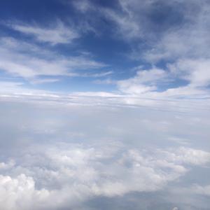 。。。。。头像