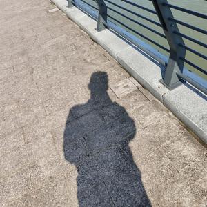 神奇的小诺头像