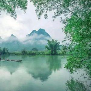 风来疏竹头像